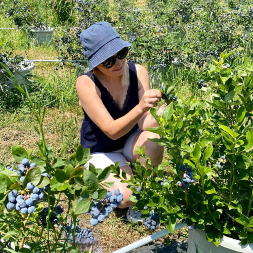 E07F1265-E671-4CE4-A3F0-FB8A0C3240ED