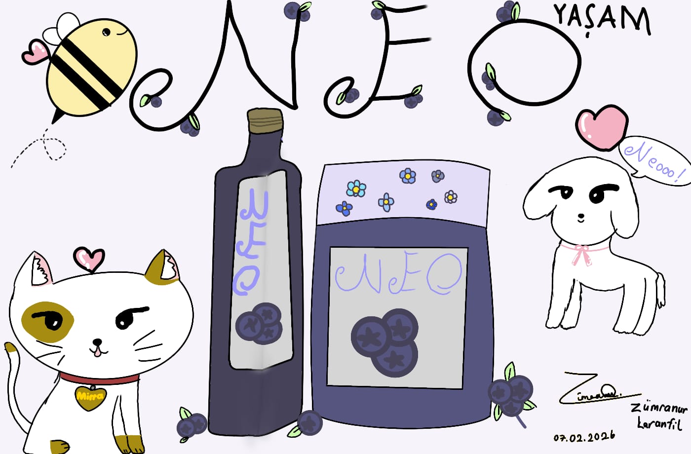 WhatsApp Image 2026-02-08 at 12.44.36