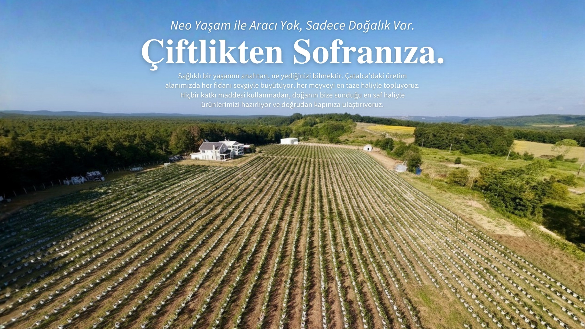 The Future of Healthy Juice - 4