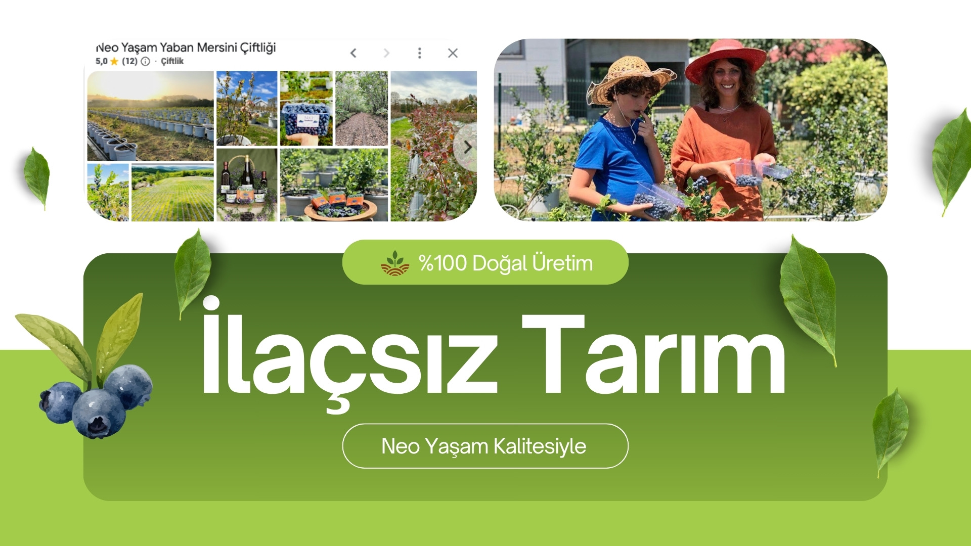 The Future of Healthy Juice - 3