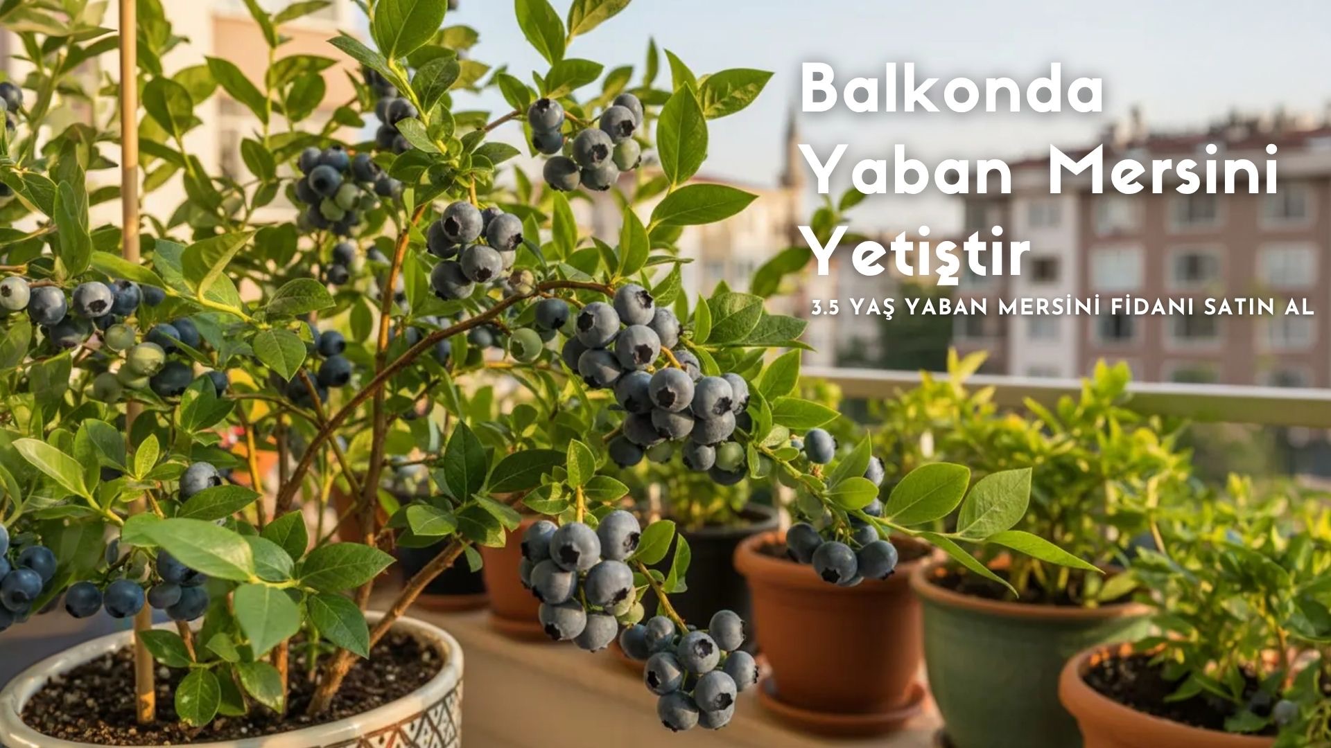 The Future of Healthy Juice - 5